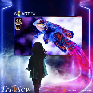 شاشة تريفيو ذكية  قياس 65 بوصة 4k رقم موديل 6520