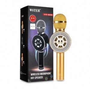 مايك WS669  microphone karioke