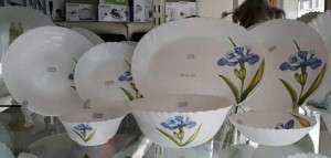 طقم طعام سفرة متكامل من أركوبال ديفا Arcopal Diva الهندي