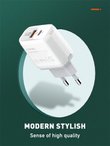 شاحن LDNIO A2421C