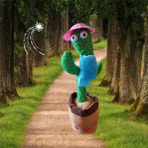 الصبارة الراقصة