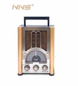 مكبر صوت بلوتوث وراديو منزلي NS-6618BT