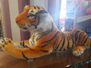 نمر سيفونير حجم كبير